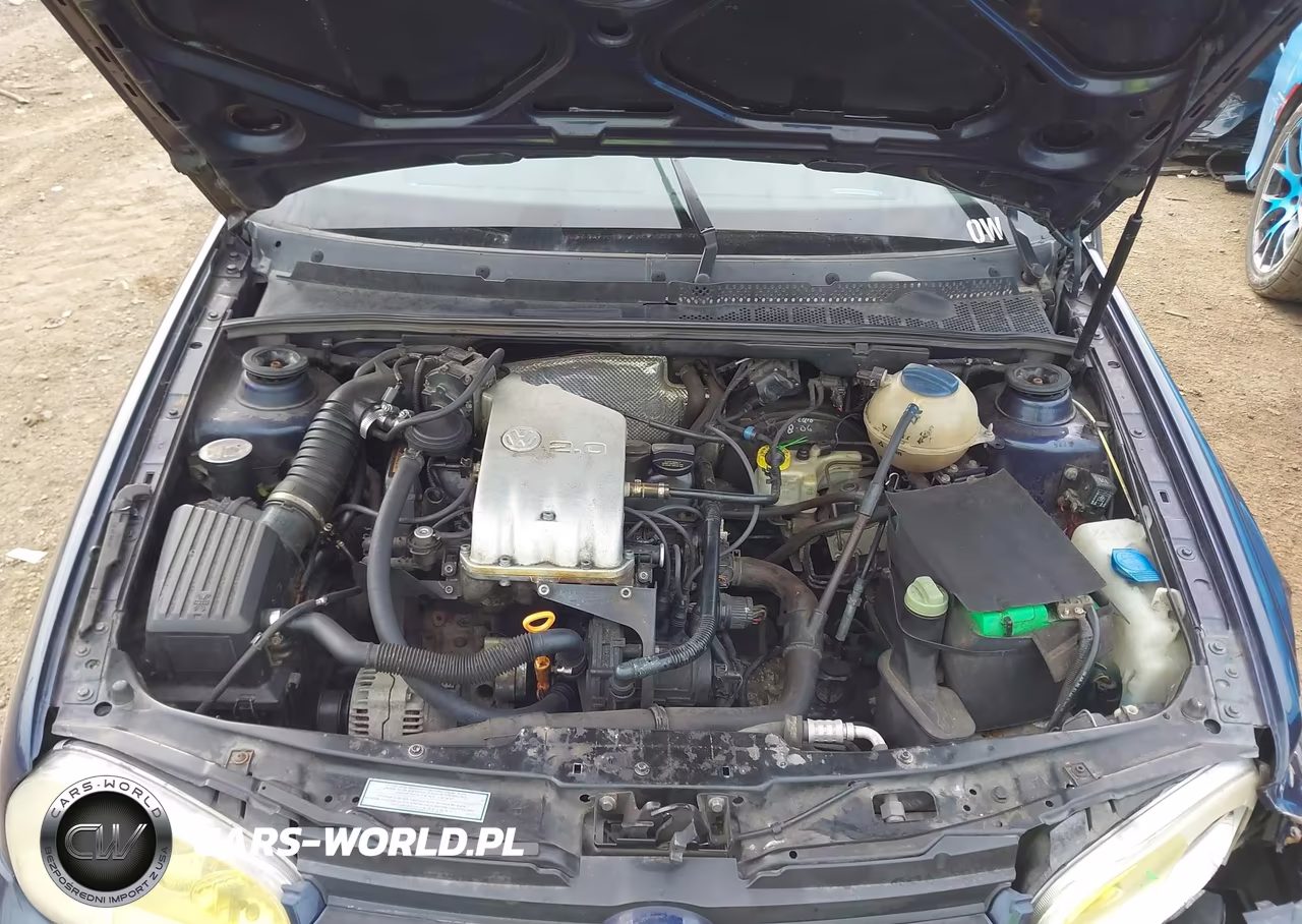 1999 Volkswagen Cabrio Gls VIN:3VWDB61E3XM812695 - 10