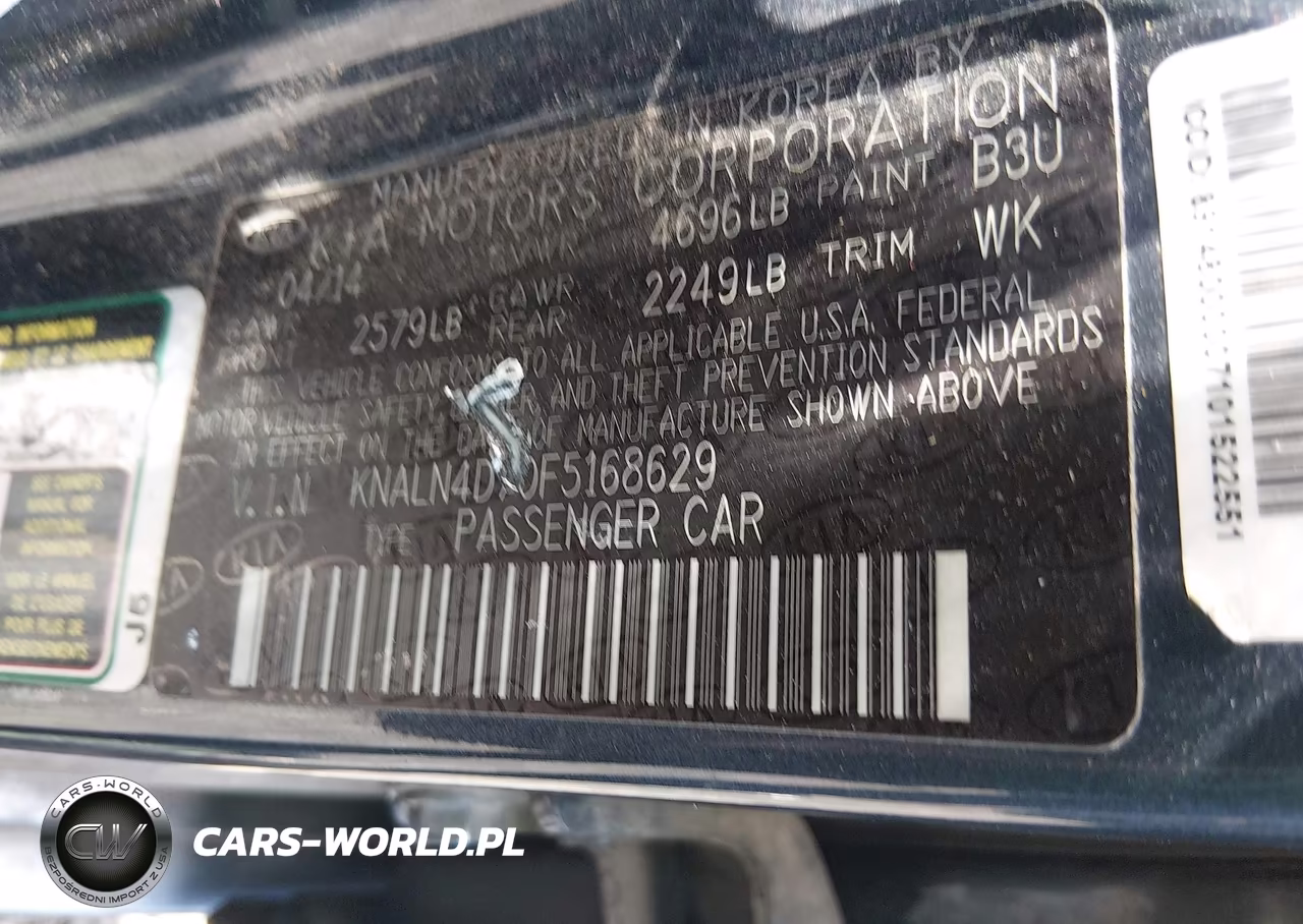 2015 Kia Cadenza Premium VIN:KNALN4D70F5168629 - 9