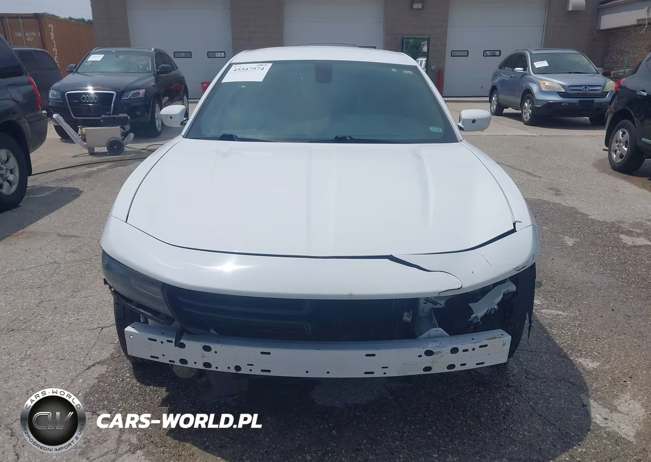 2015 Dodge Charger Police VIN:2C3CDXKT2FH863781 - 12