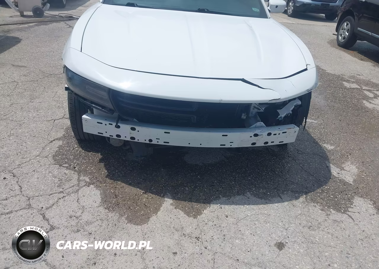 2015 Dodge Charger Police VIN:2C3CDXKT2FH863781 - 6