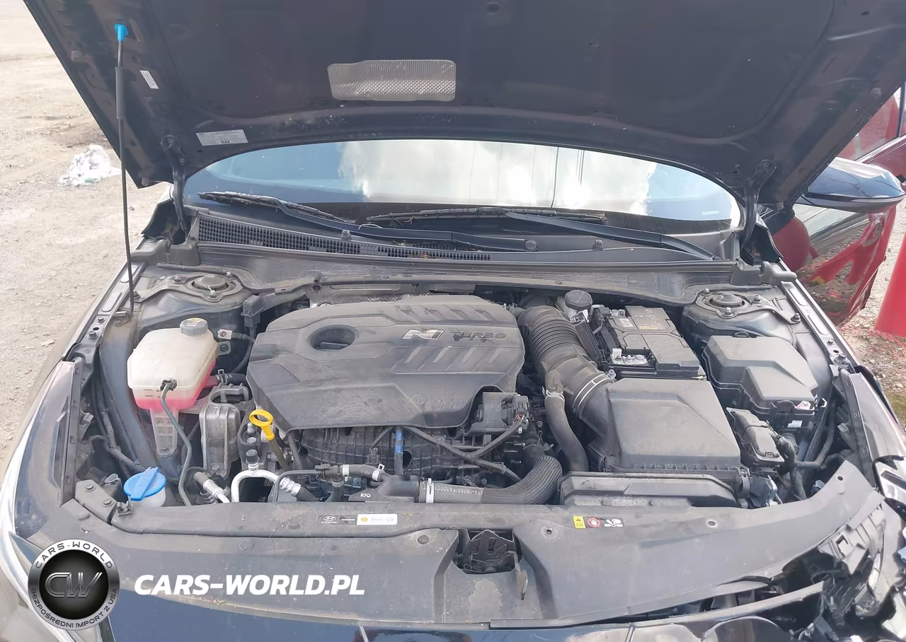 2023 Hyundai Elantra N VIN:KMHLW4AK7PU019100 - 10