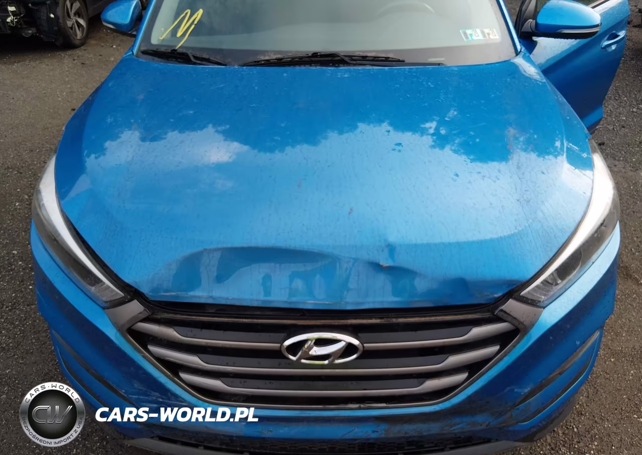 2016 Hyundai Tucson Sport VIN:KM8J3CA25GU128665 - 10