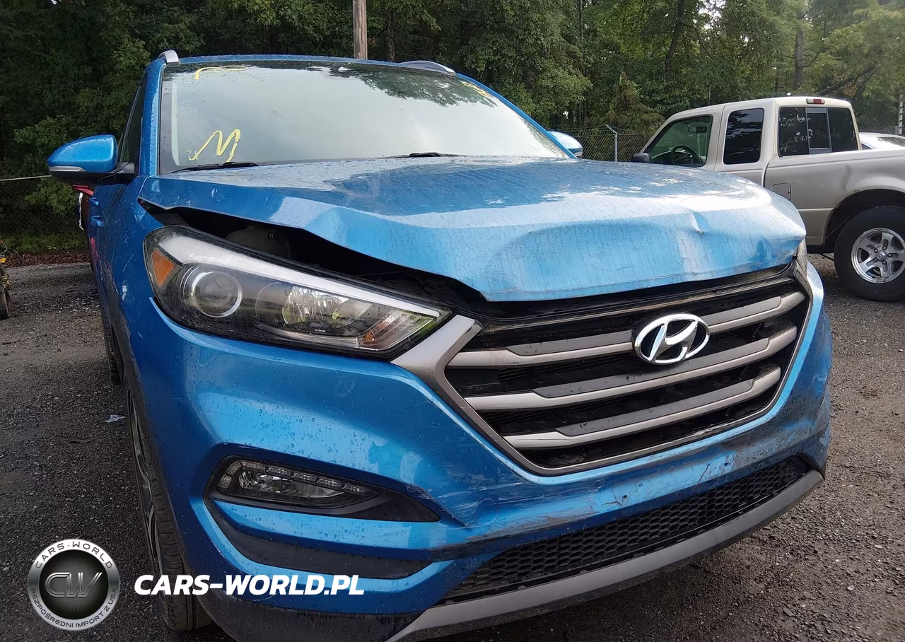 2016 Hyundai Tucson Sport VIN:KM8J3CA25GU128665 - 6