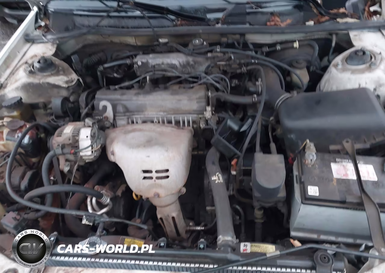 1998 Toyota Camry Le VIN:4T1BG22K3WU289273 - 10