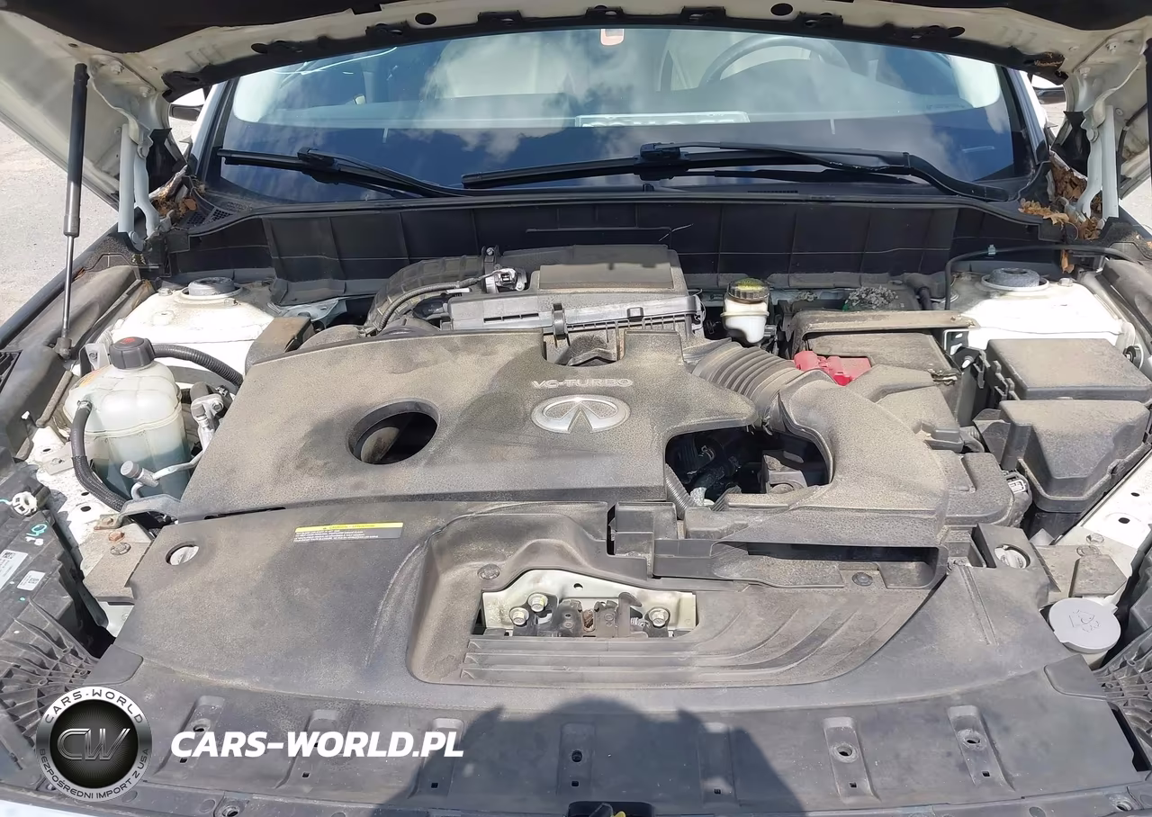 2019 Infiniti Qx50 Essential VIN:3PCAJ5M35KF116950 - 10