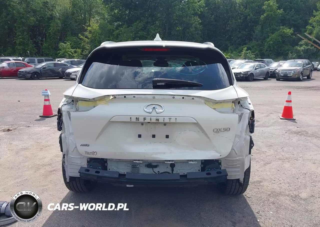 2019 Infiniti Qx50 Essential VIN:3PCAJ5M35KF116950 - 16