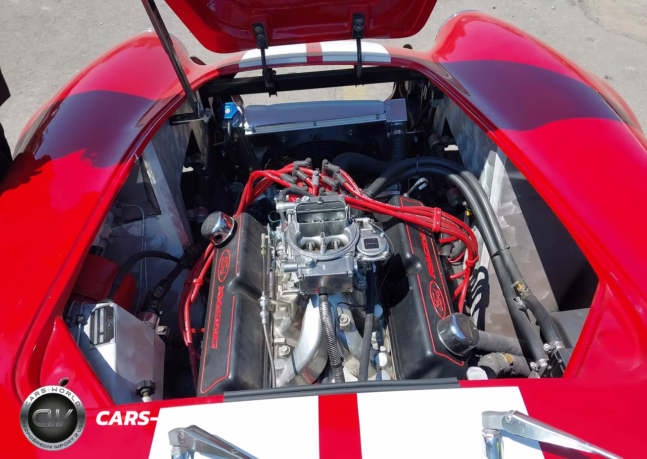 1965 Ford Cobra VIN:0000005H15T141793 - 10