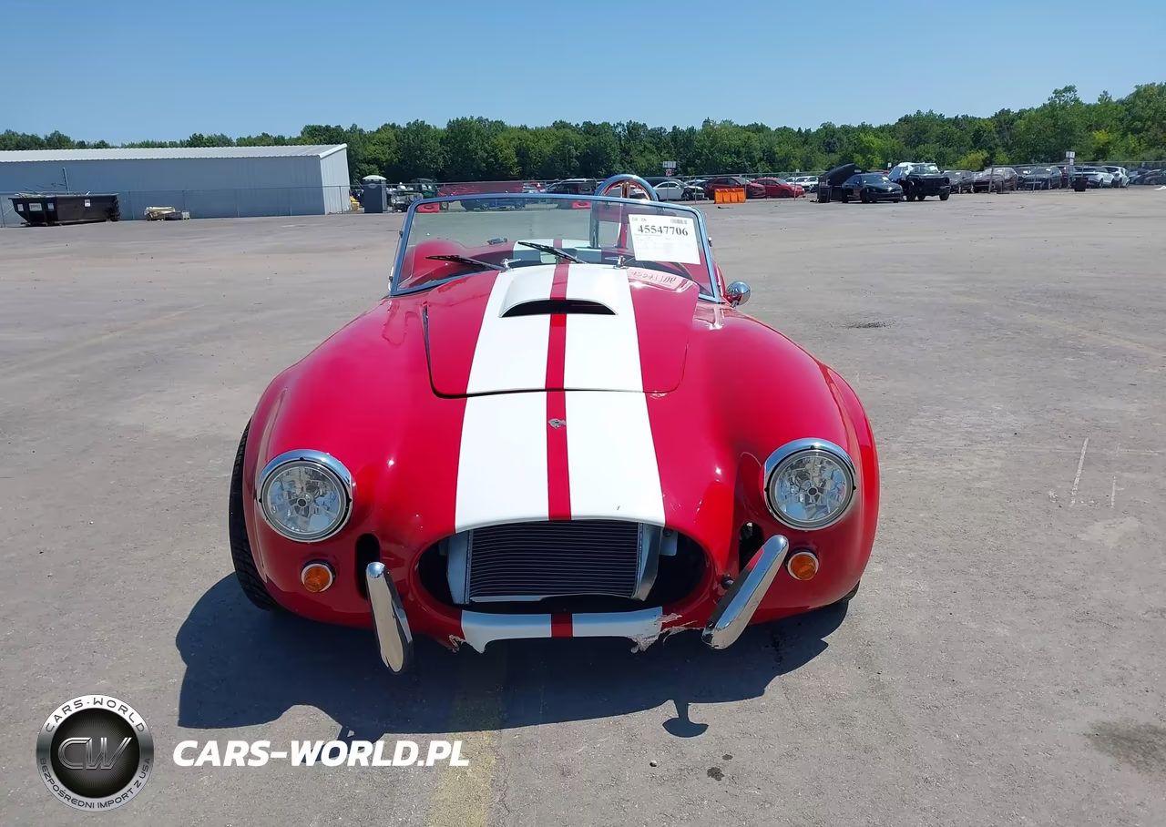 1965 Ford Cobra VIN:0000005H15T141793 - 12