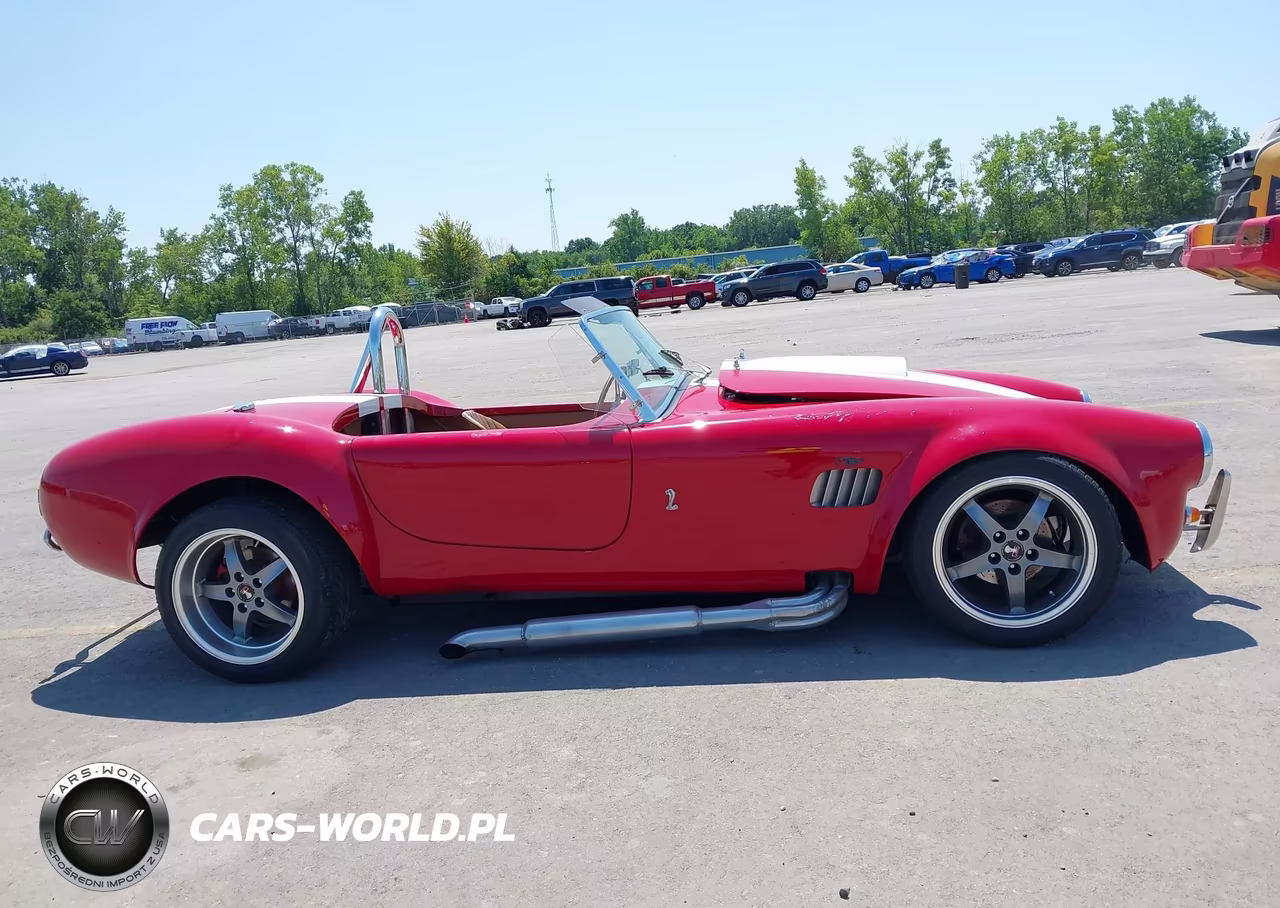 1965 Ford Cobra VIN:0000005H15T141793 - 13