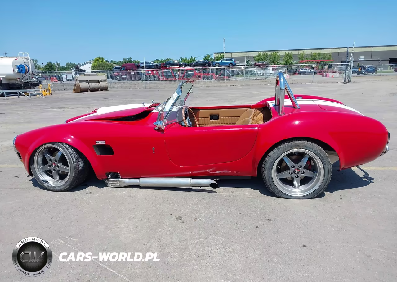1965 Ford Cobra VIN:0000005H15T141793 - 14
