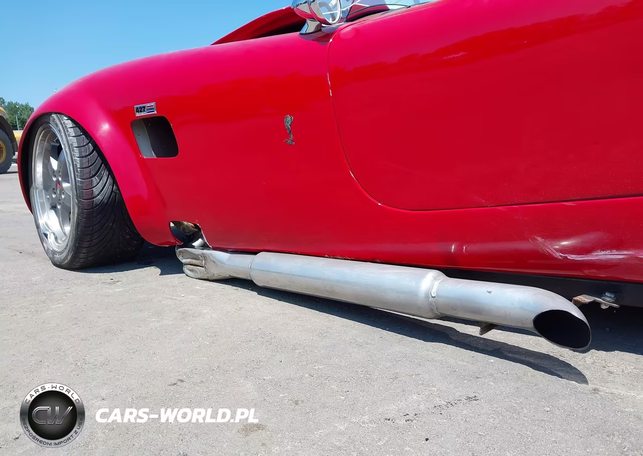 1965 Ford Cobra VIN:0000005H15T141793 - 19