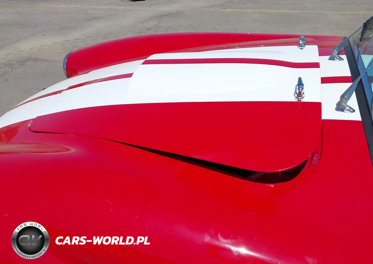 1965 Ford Cobra VIN:0000005H15T141793 - 20