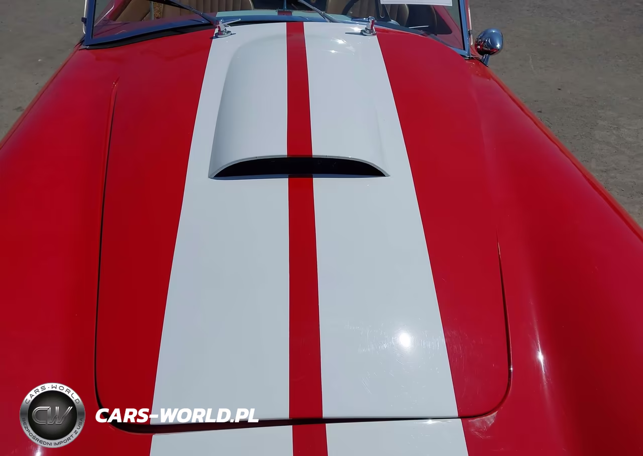 1965 Ford Cobra VIN:0000005H15T141793 - 21
