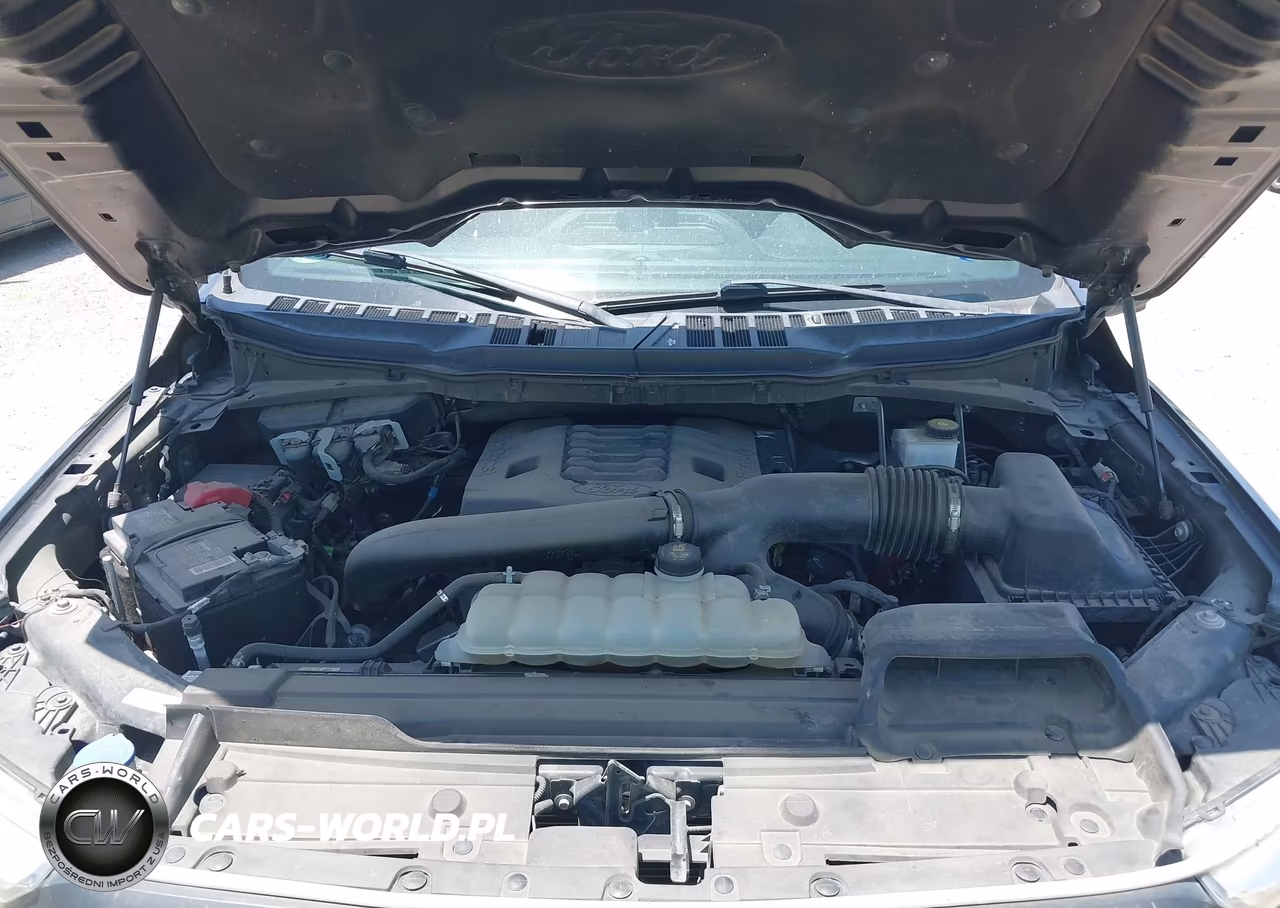 2022 Ford F-150 Xlt VIN:1FTFW1E89NKE79415 - 10