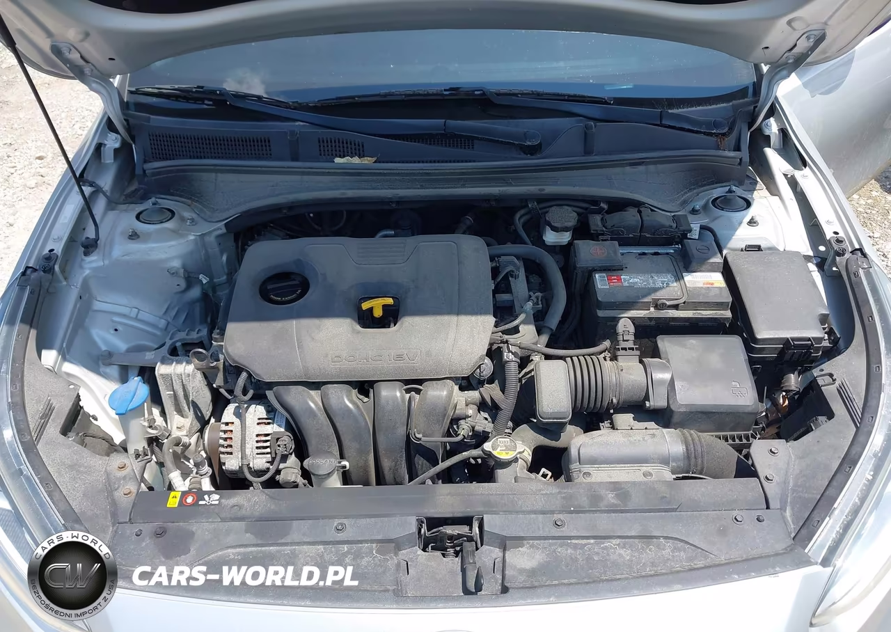 2019 Kia Forte Lxs VIN:3KPF24AD9KE046823 - 10
