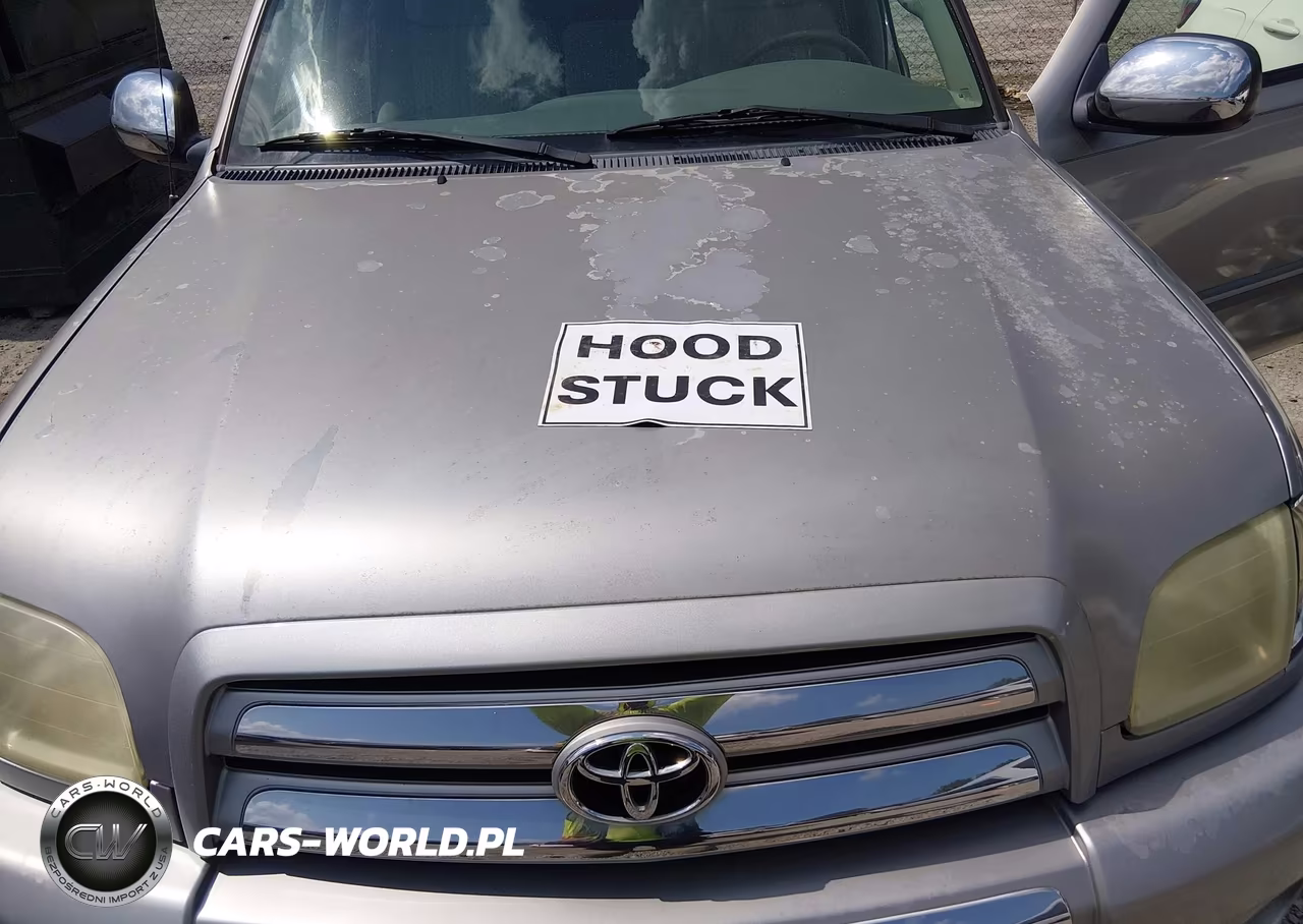2004 Toyota Tundra Sr5 VIN:5TBRN34154S438733 - 10