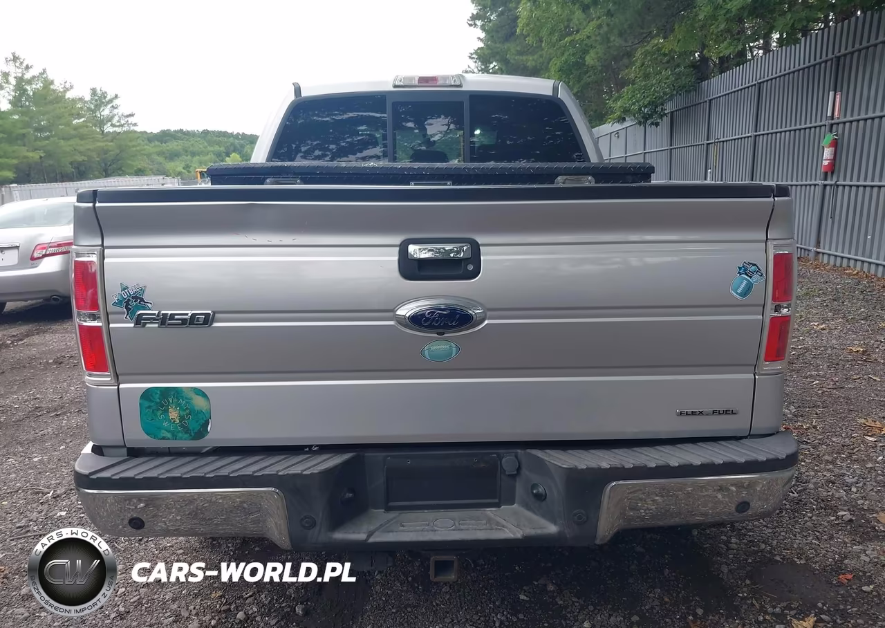 2013 Ford F-150 Fx4-King Ranch-Lariat-Platinum-Xl-Xlt VIN:1FTFW1EFXDFC02200 - 16
