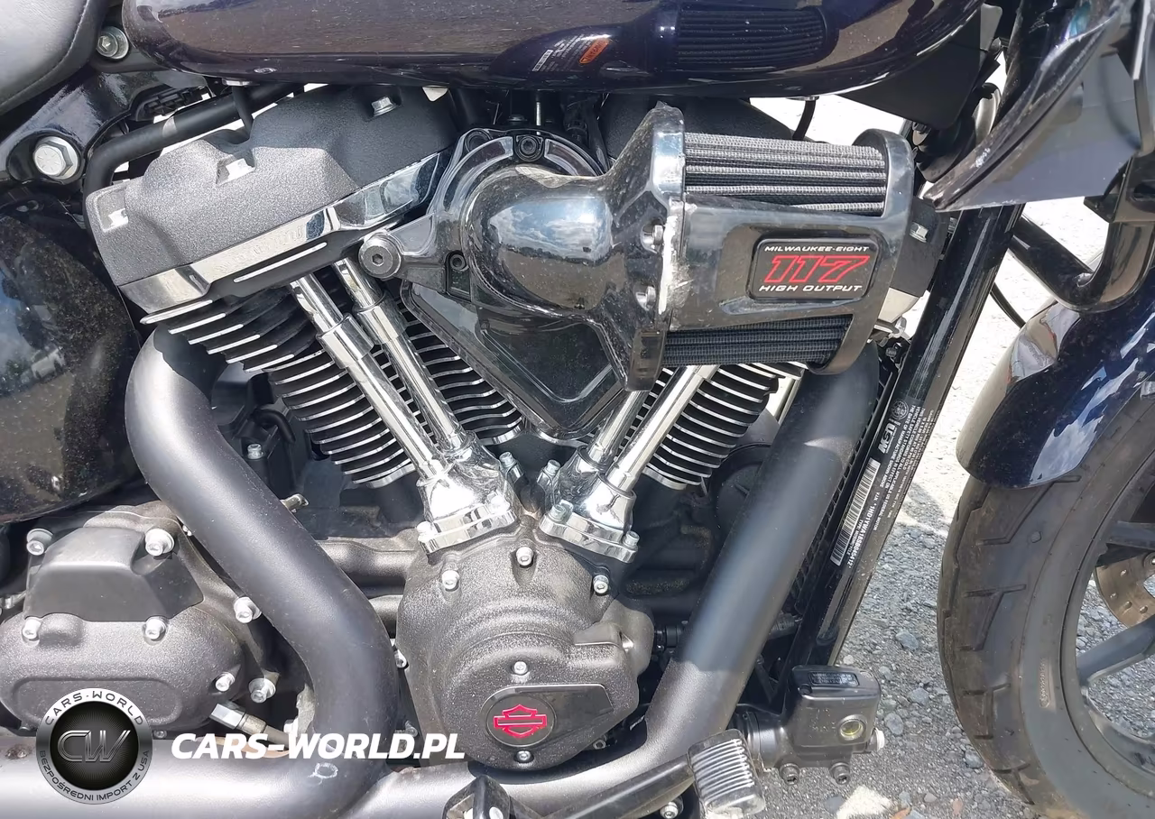2025 Harley-Davidson Fxlrs VIN:1HD1YWA18SB045412 - 8