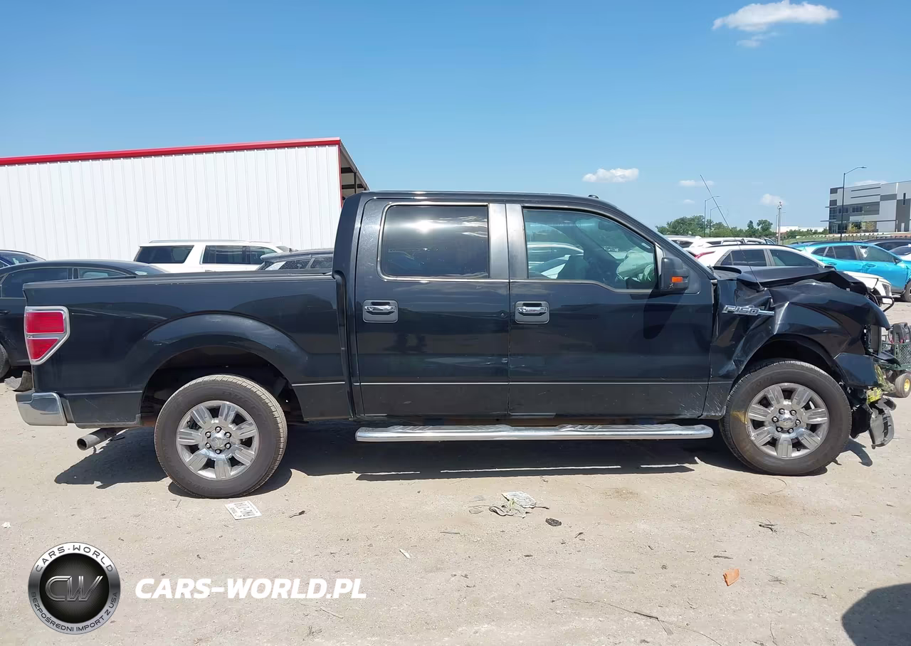 2010 Ford F-150 Fx2 Sport-Xl-Xlt VIN:1FTEW1C82AFD10872 - 13