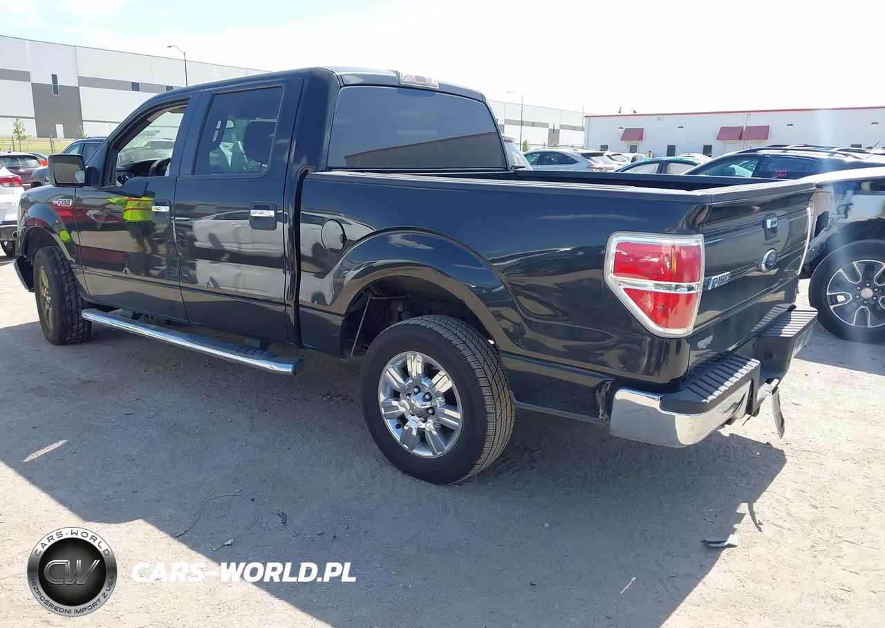 2010 Ford F-150 Fx2 Sport-Xl-Xlt VIN:1FTEW1C82AFD10872 - 3