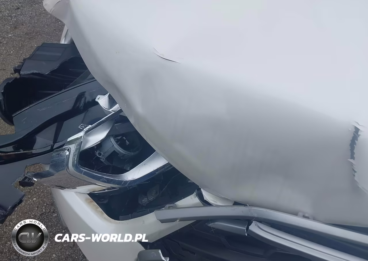 2019 Ford Ecosport Se VIN:MAJ6S3GL4KC259734 - 10