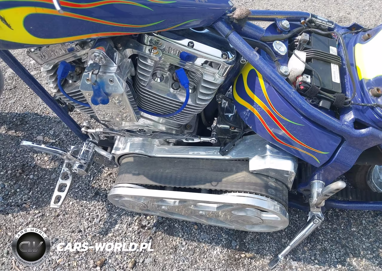 2001 Homemade Chopper VIN:AC223074MD - 10
