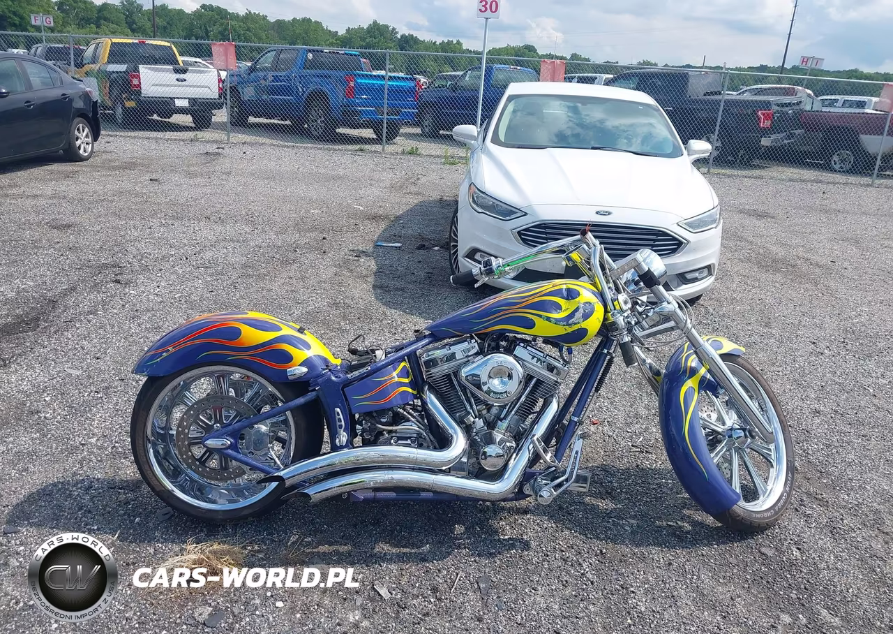 2001 Homemade Chopper VIN:AC223074MD - 13