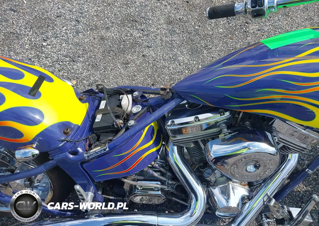 2001 Homemade Chopper VIN:AC223074MD - 5