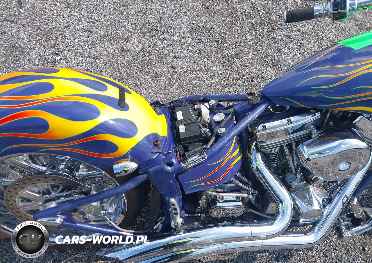 2001 Homemade Chopper VIN:AC223074MD - 8