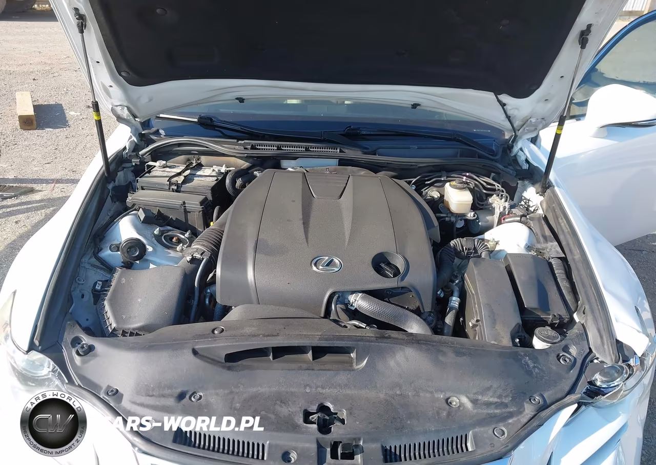 2015 Lexus Is 250 VIN:JTHBF1D24F5068529 - 10