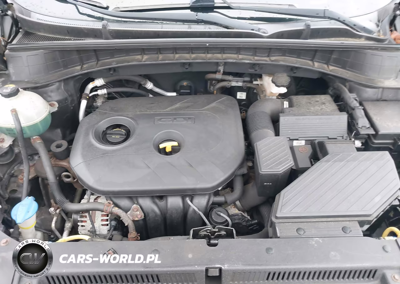 2016 Hyundai Tucson Se VIN:KM8J3CA42GU248070 - 10
