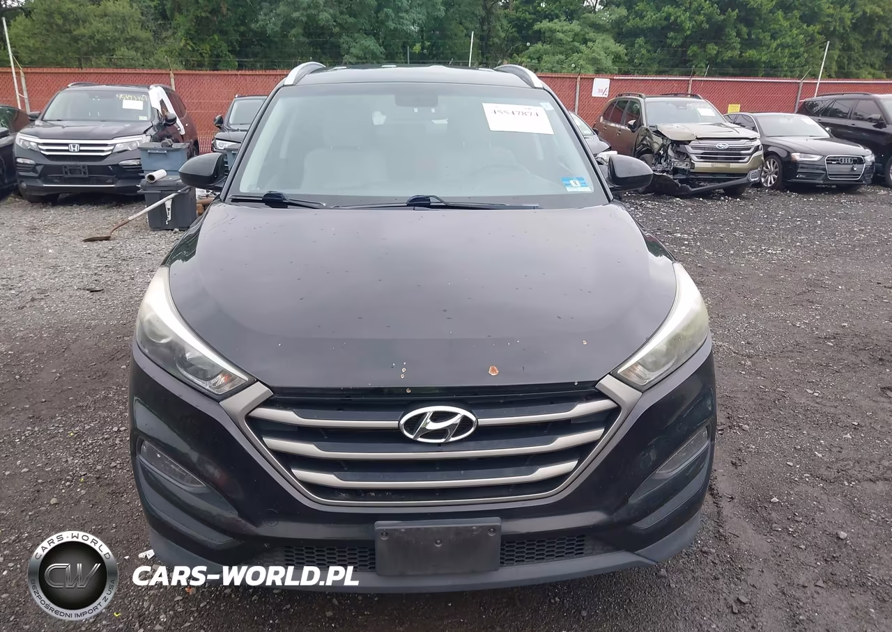 2016 Hyundai Tucson Se VIN:KM8J3CA42GU248070 - 12
