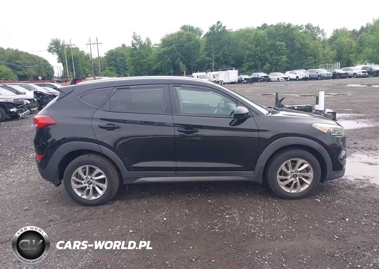2016 Hyundai Tucson Se VIN:KM8J3CA42GU248070 - 13