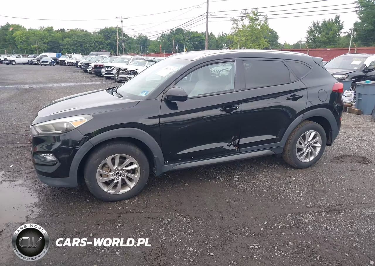 2016 Hyundai Tucson Se VIN:KM8J3CA42GU248070 - 6