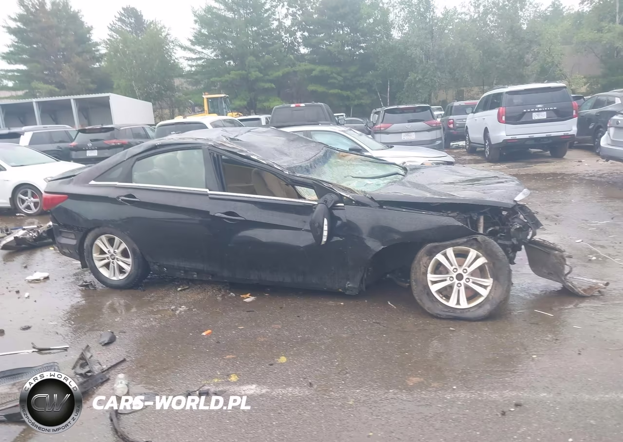 2014 Hyundai Sonata Gls VIN:5NPEB4AC5EH885693 - 12