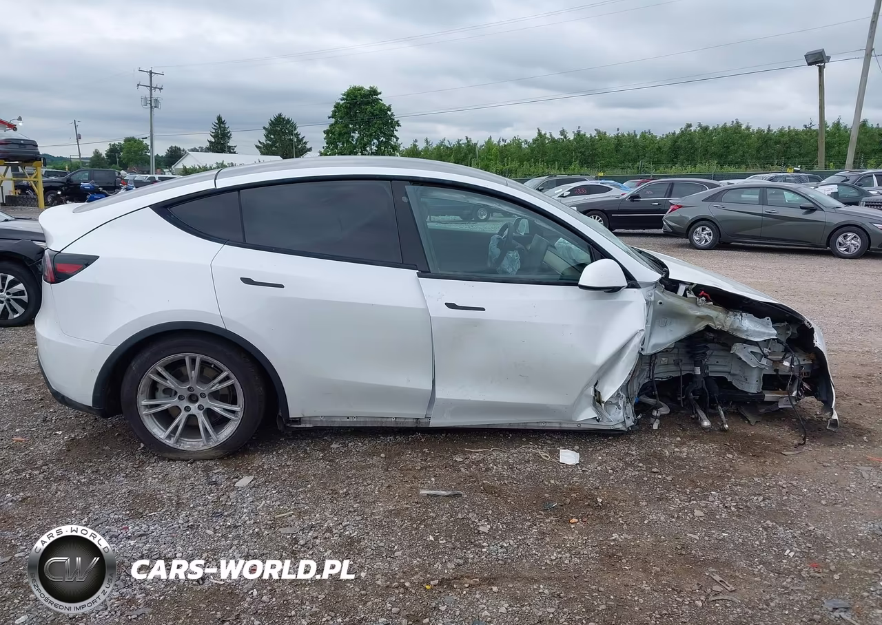 2020 Tesla Model Y Long Range Dual Motor All-Wheel Drive VIN:5YJYGDEE2LF006690 - 12
