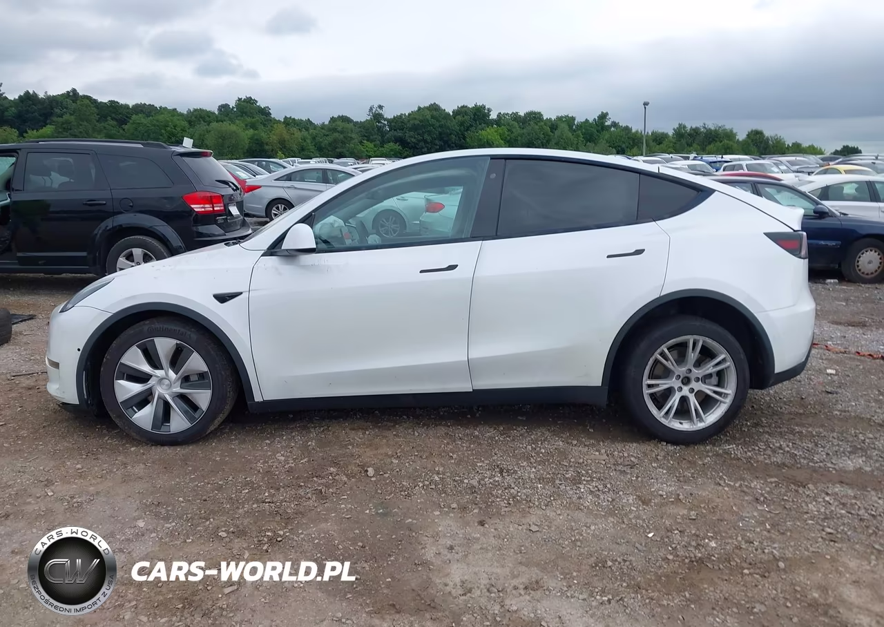 2020 Tesla Model Y Long Range Dual Motor All-Wheel Drive VIN:5YJYGDEE2LF006690 - 13