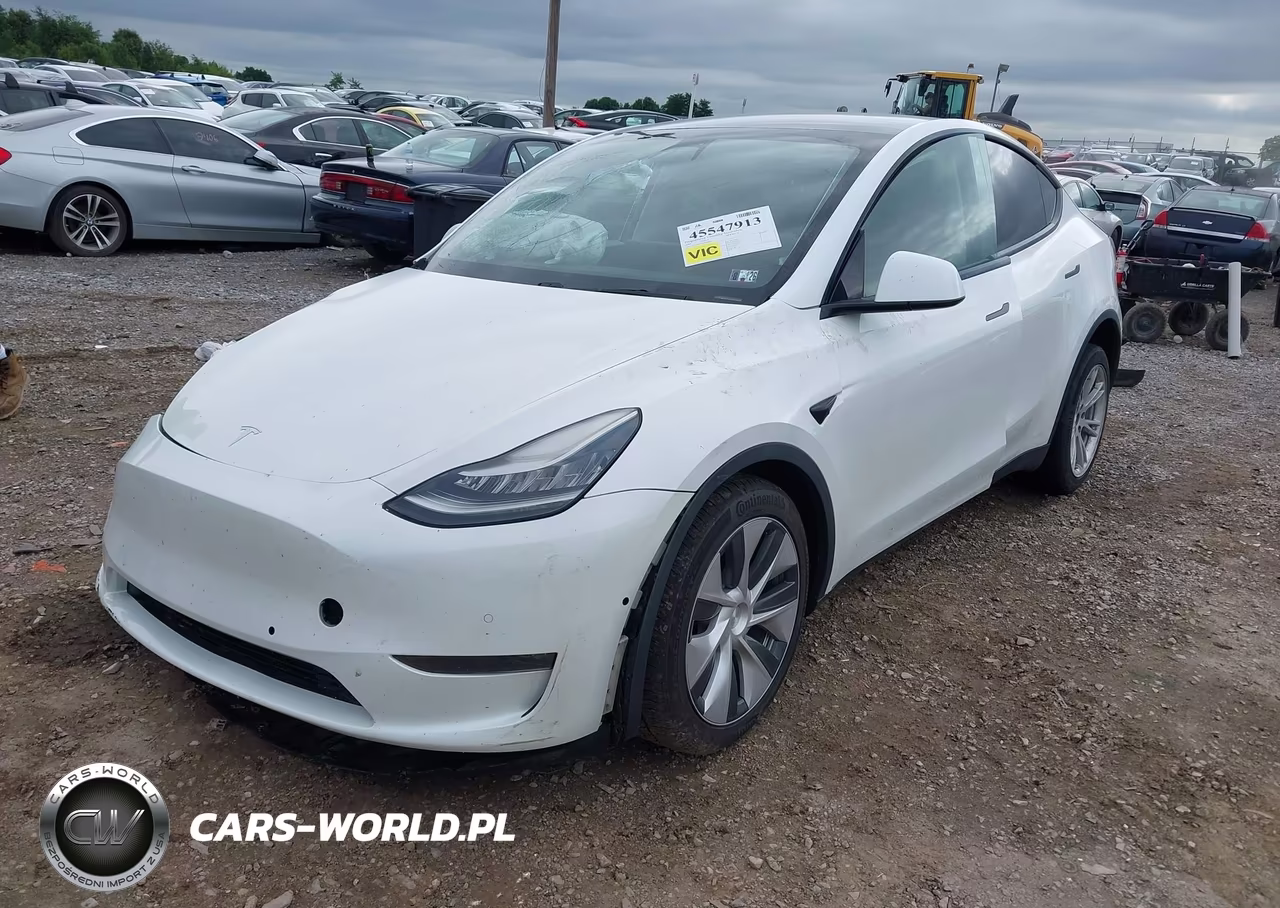 2020 Tesla Model Y Long Range Dual Motor All-Wheel Drive VIN:5YJYGDEE2LF006690 - 2
