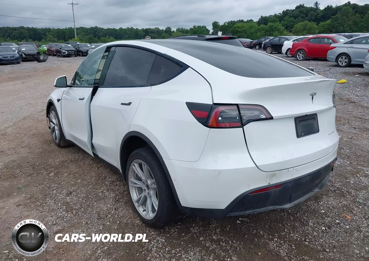 2020 Tesla Model Y Long Range Dual Motor All-Wheel Drive VIN:5YJYGDEE2LF006690 - 3