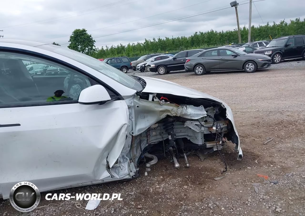 2020 Tesla Model Y Long Range Dual Motor All-Wheel Drive VIN:5YJYGDEE2LF006690 - 6