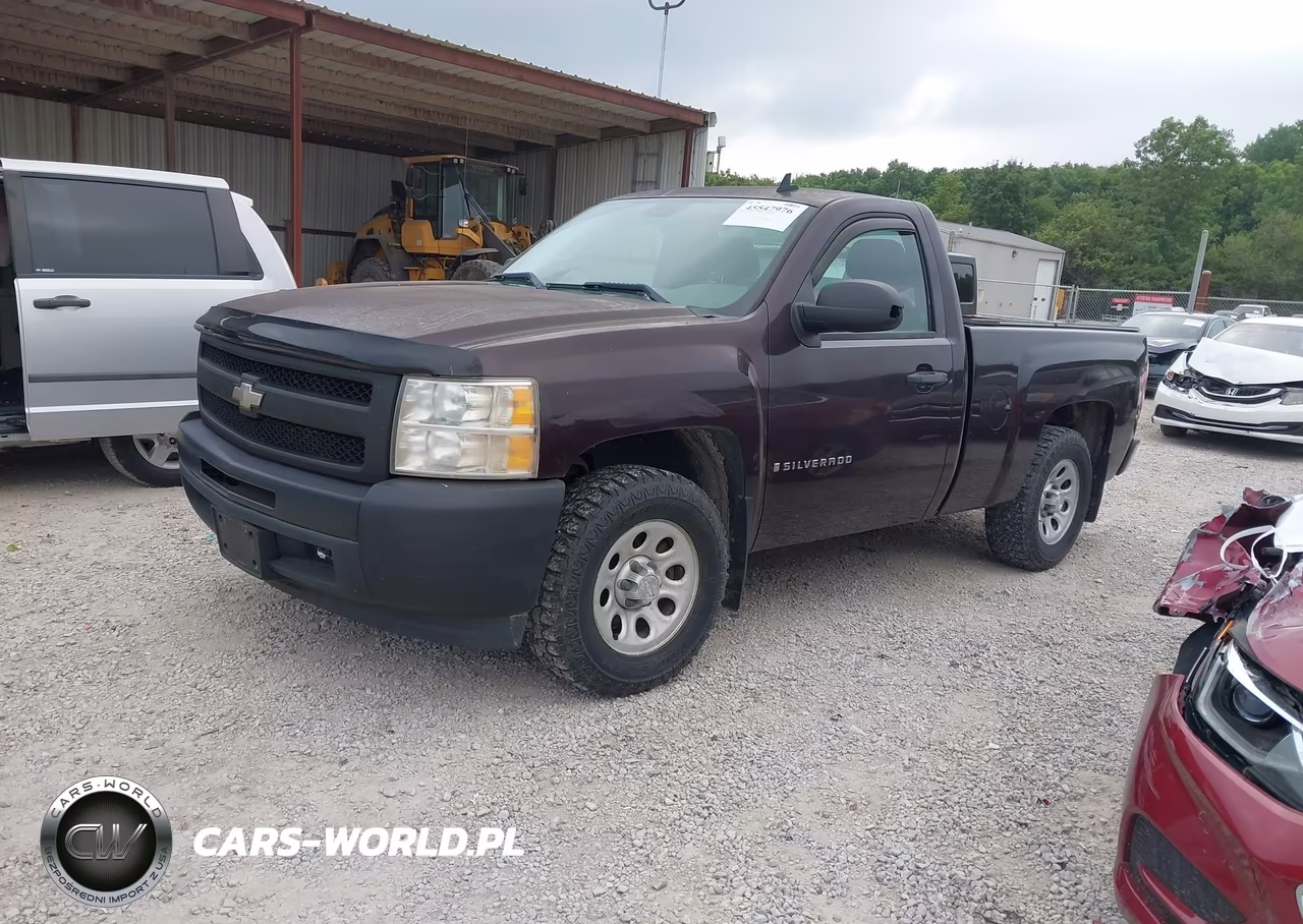 2009 Chevrolet Silverado 1500 Work Truck VIN:1GCEC14X39Z115453 - 2