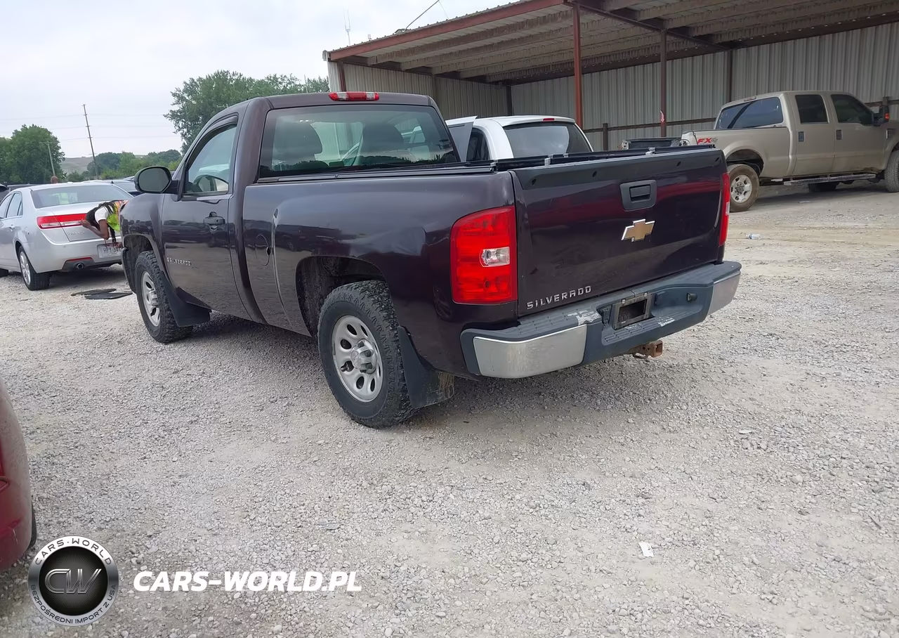 2009 Chevrolet Silverado 1500 Work Truck VIN:1GCEC14X39Z115453 - 3