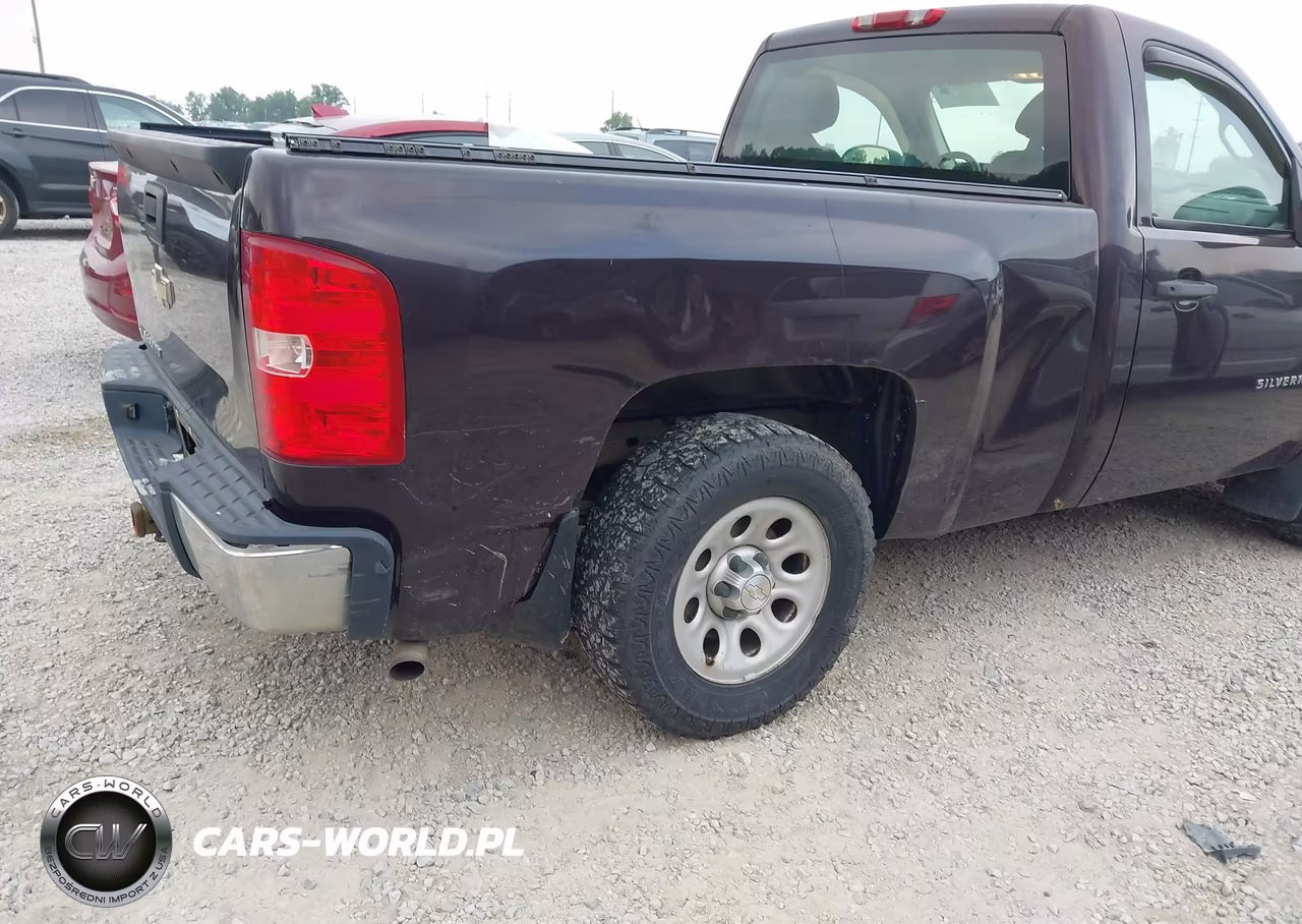 2009 Chevrolet Silverado 1500 Work Truck VIN:1GCEC14X39Z115453 - 6