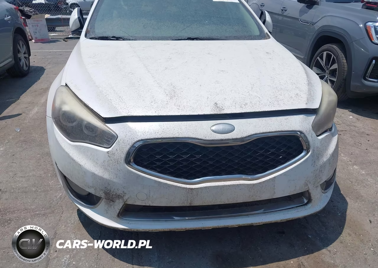 2014 Kia Cadenza Premium VIN:KNALN4D76E5121586 - 6