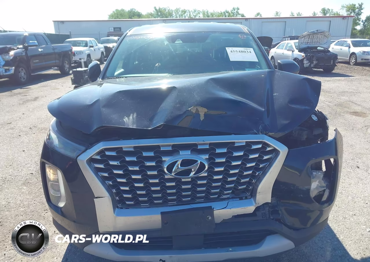 2020 Hyundai Palisade Se VIN:KM8R1DHE1LU036736 - 12