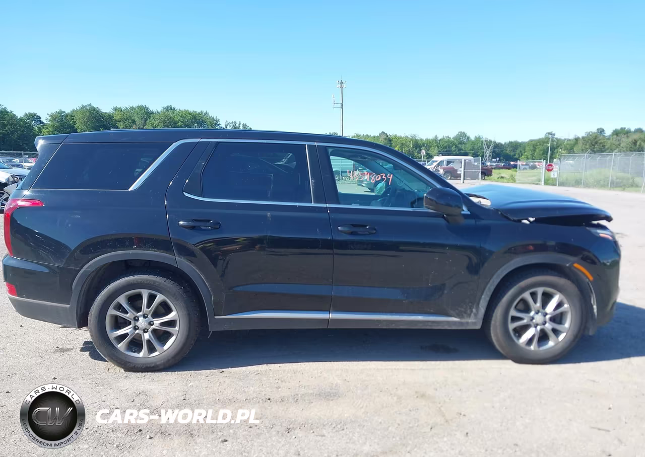 2020 Hyundai Palisade Se VIN:KM8R1DHE1LU036736 - 13