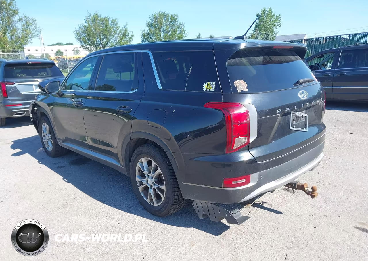 2020 Hyundai Palisade Se VIN:KM8R1DHE1LU036736 - 3