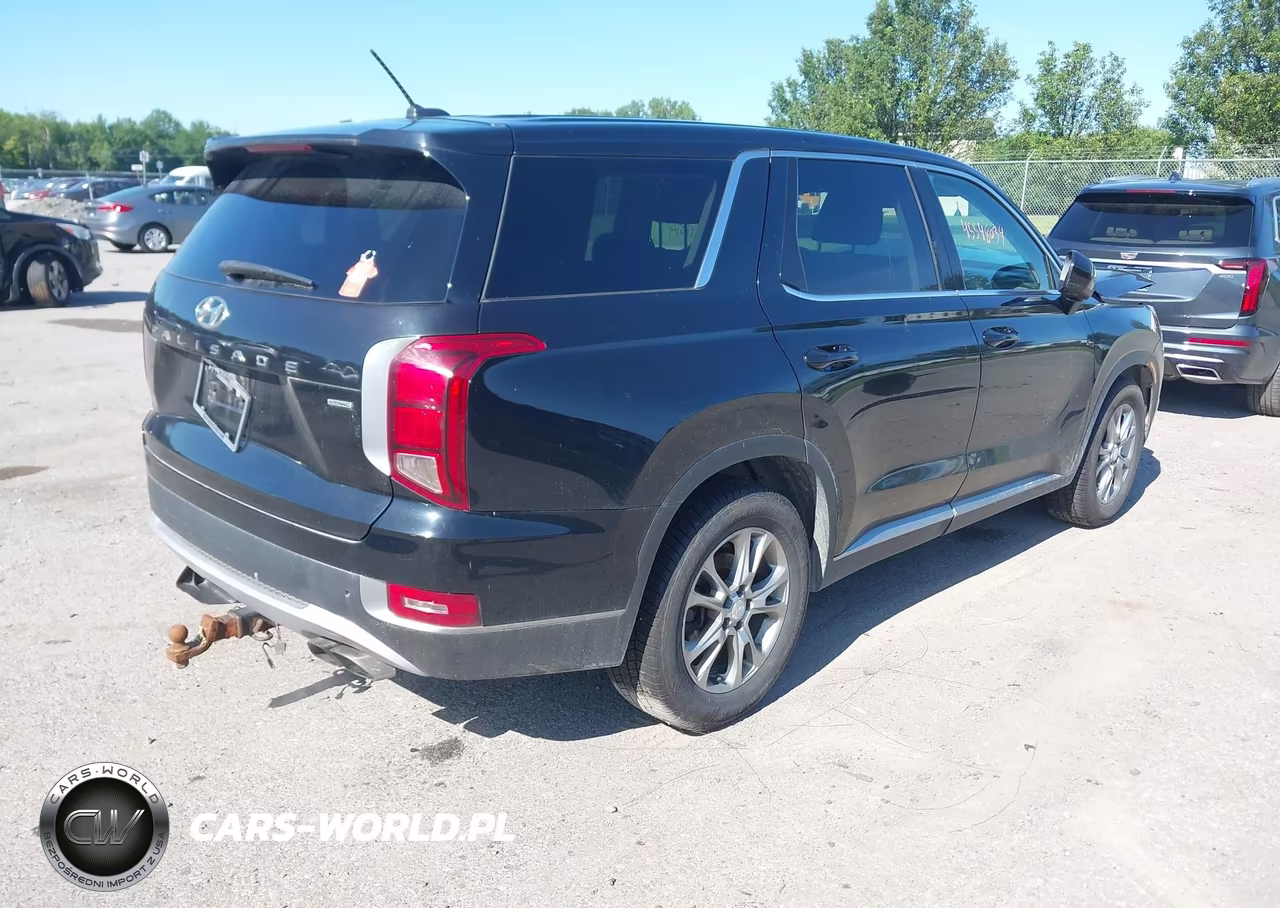 2020 Hyundai Palisade Se VIN:KM8R1DHE1LU036736 - 4