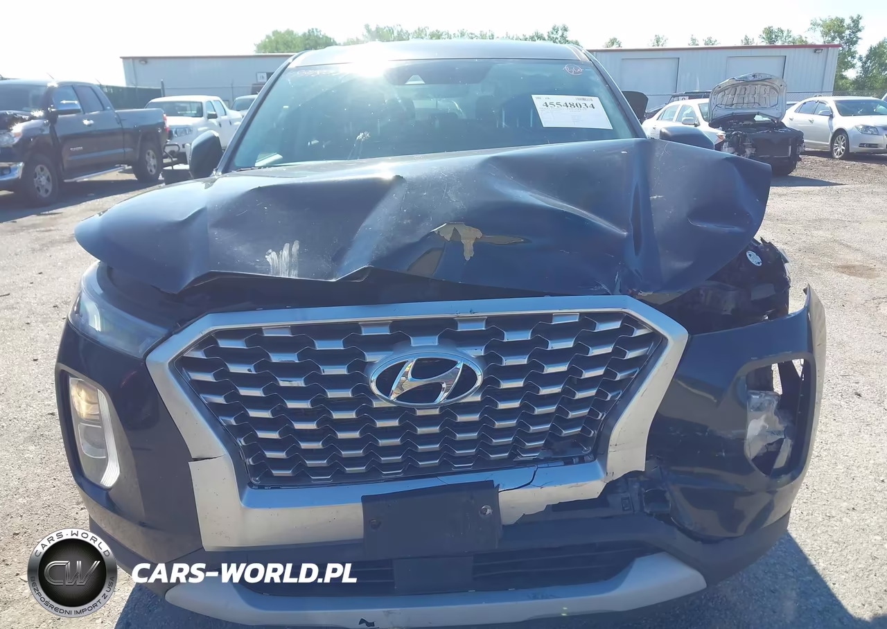 2020 Hyundai Palisade Se VIN:KM8R1DHE1LU036736 - 6