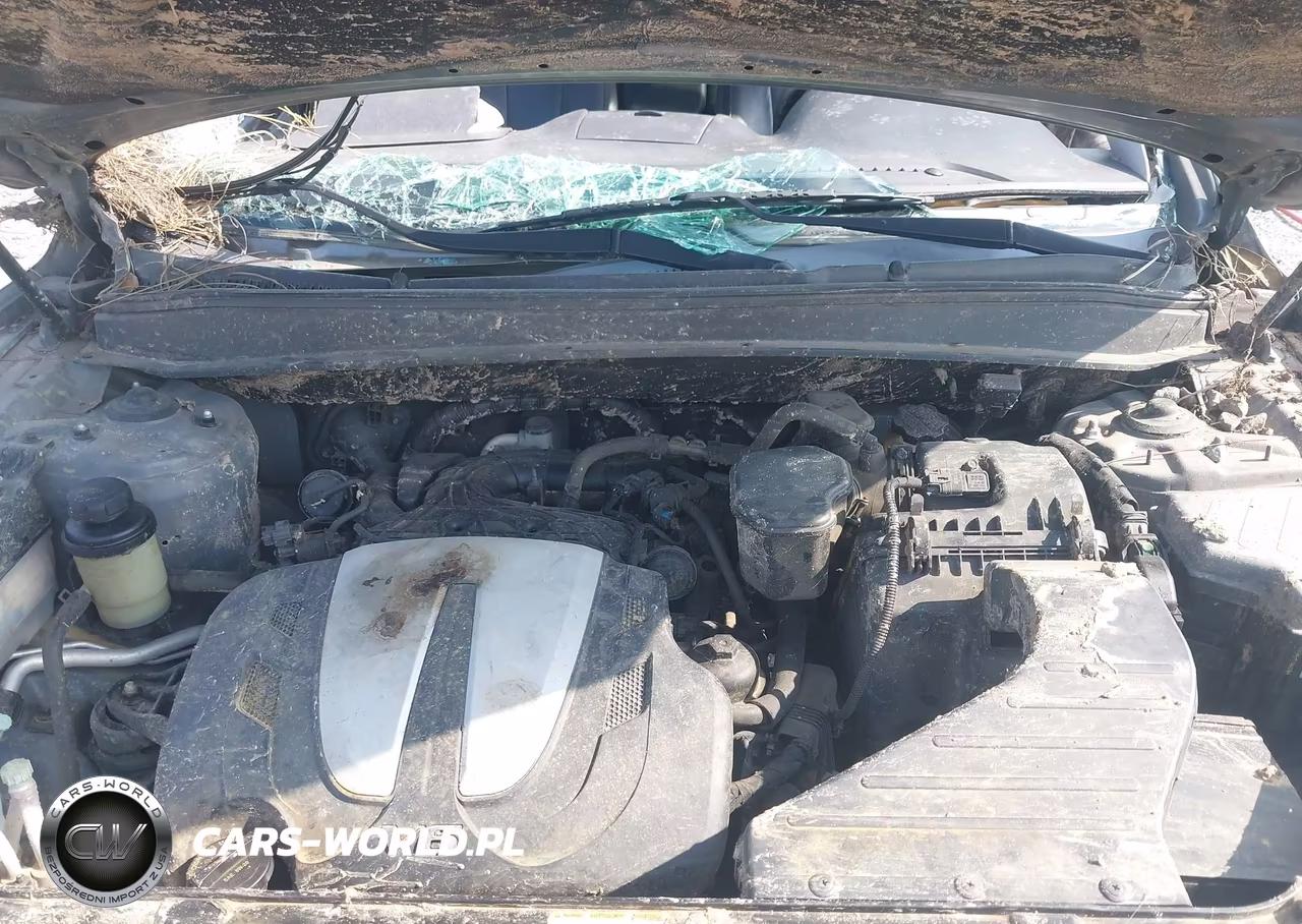 2010 Hyundai Santa Fe Limited V6 VIN:5NMSK4AGXAH372839 - 10